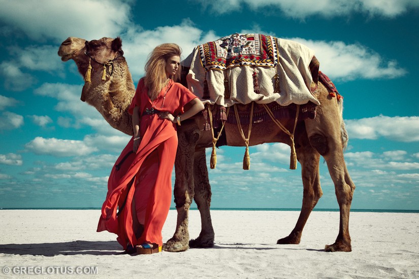 Camel Story 3